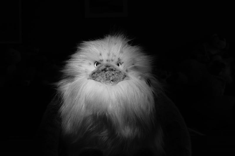 Yeti in the mountains